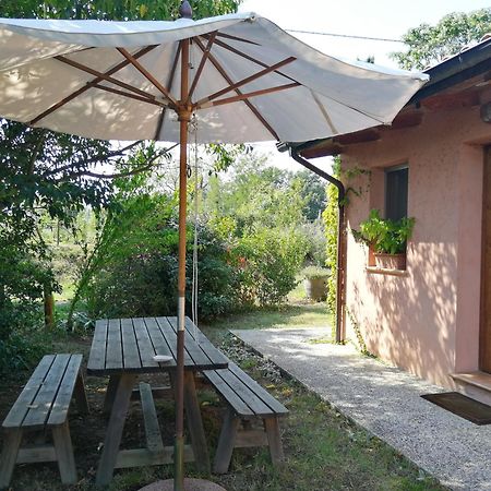Agriturismo Il Palazzo Βίλα Brisighella Εξωτερικό φωτογραφία